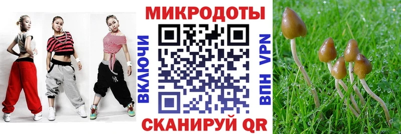 где можно купить   Анива  Галлюциногенные грибы ЛСД 
